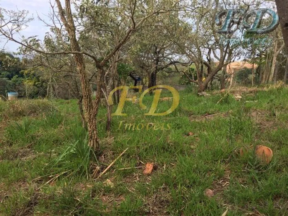 Terreno, 4 hectares - Foto 11
