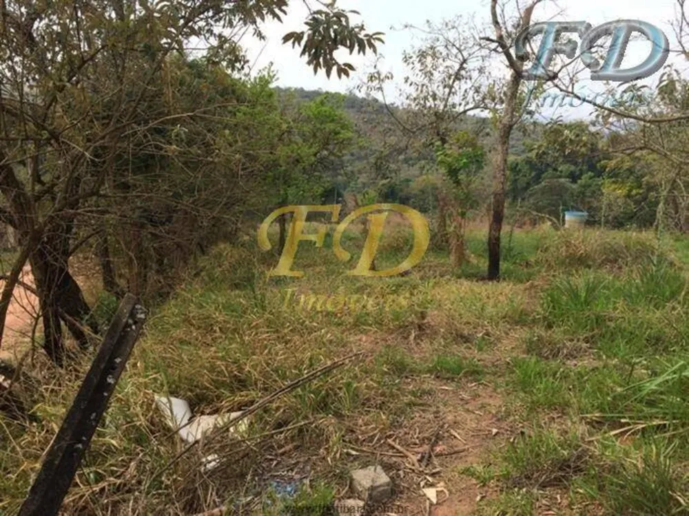 Terreno, 4 hectares - Foto 8