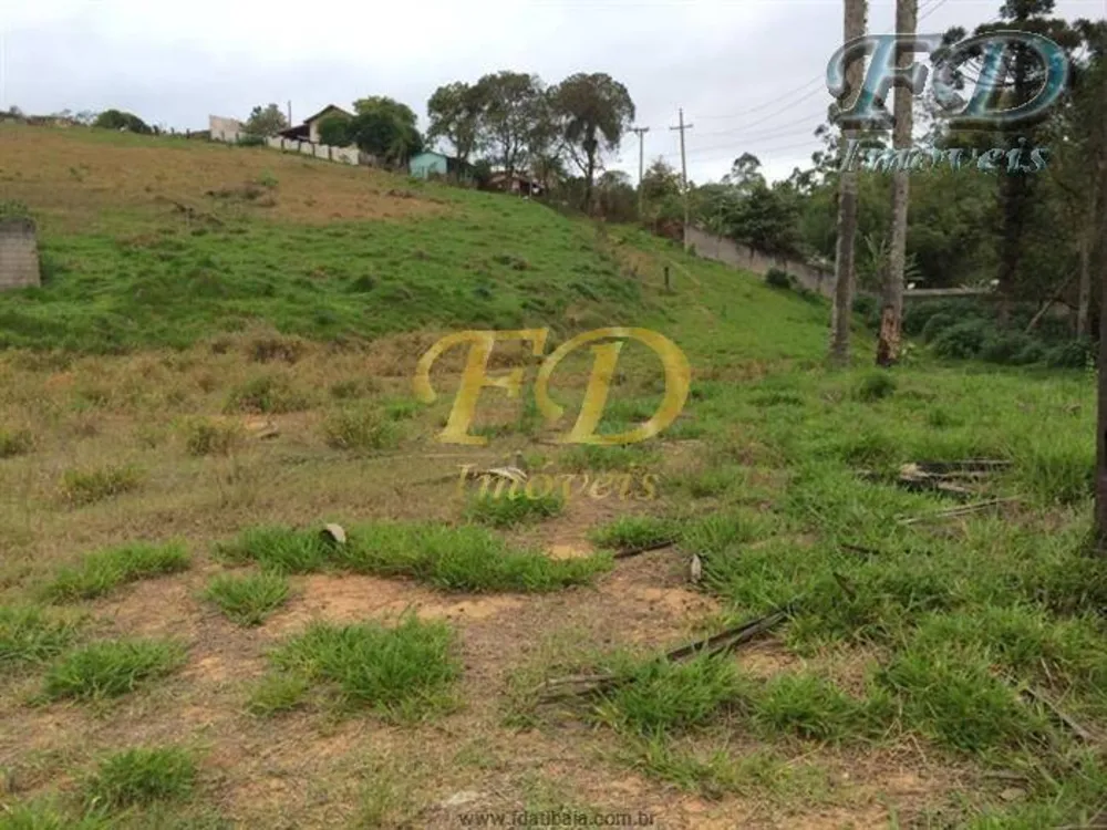 Terreno, 4 hectares - Foto 3