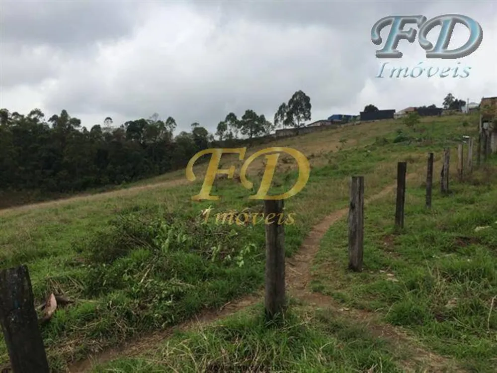 Terreno, 4 hectares - Foto 1
