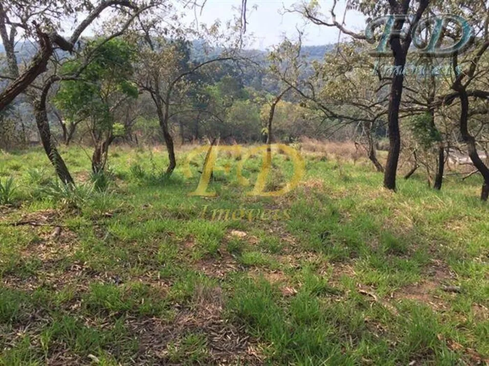 Terreno, 4 hectares - Foto 7