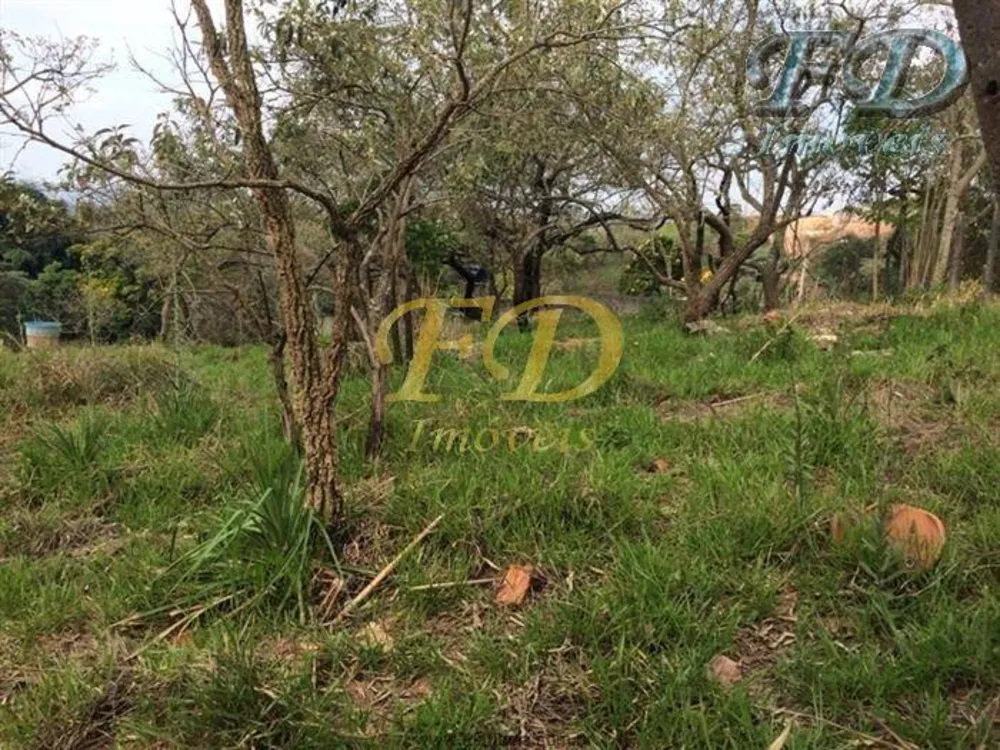 Terreno, 4 hectares - Foto 10