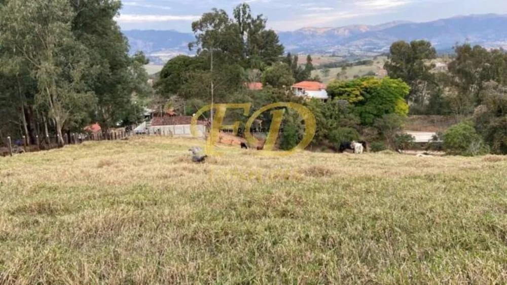 Sítio, 4 quartos, 10 hectares - Foto 8