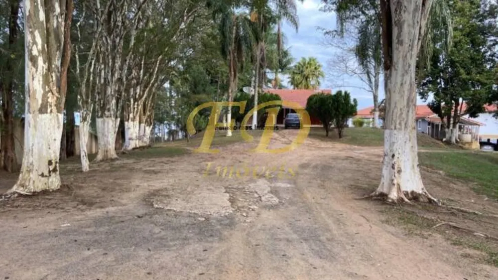 Sítio, 4 quartos, 10 hectares - Foto 1