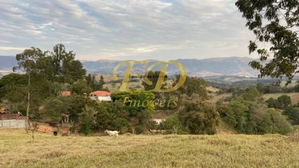 Sítio, 4 quartos, 10 hectares - Foto 6