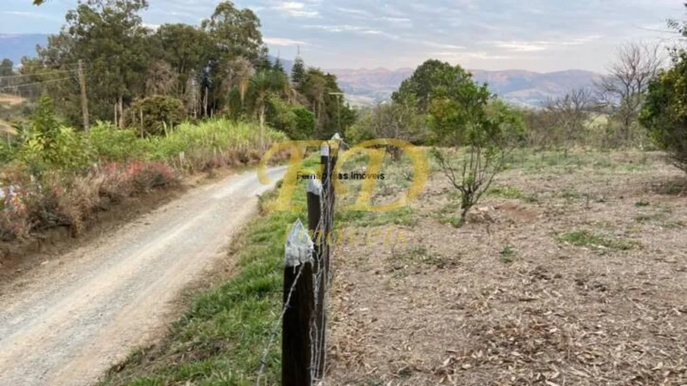 Sítio, 4 quartos, 10 hectares - Foto 4