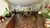 Chácara, 6 quartos, 4000 m² - Foto 16
