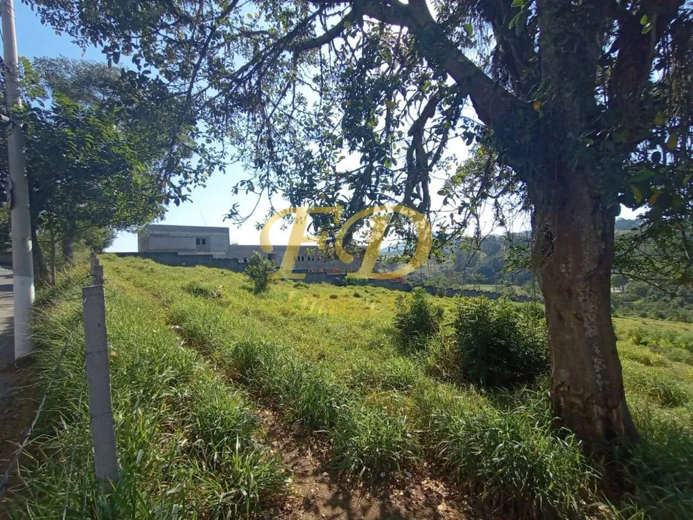 Prédio Inteiro - Foto 1