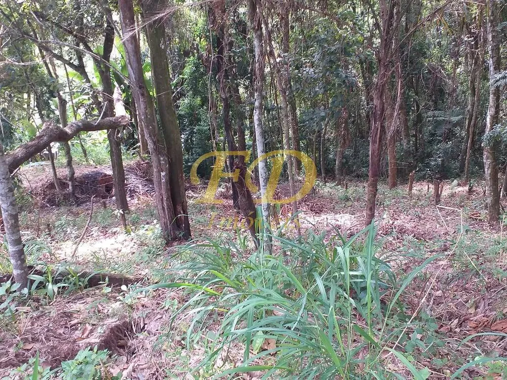 Terreno - Foto 9