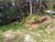 Terreno - Foto 2