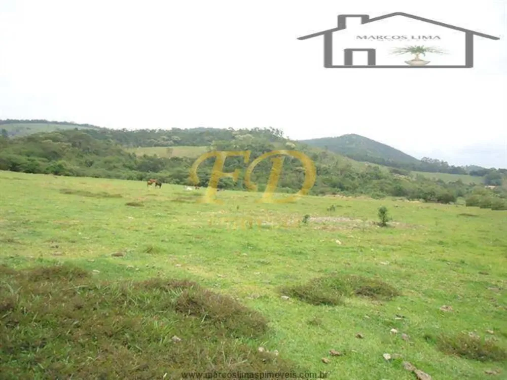 Terreno, 5 hectares - Foto 10
