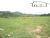 Terreno, 5 hectares - Foto 8