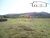 Terreno, 5 hectares - Foto 7