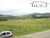 Terreno, 5 hectares - Foto 3