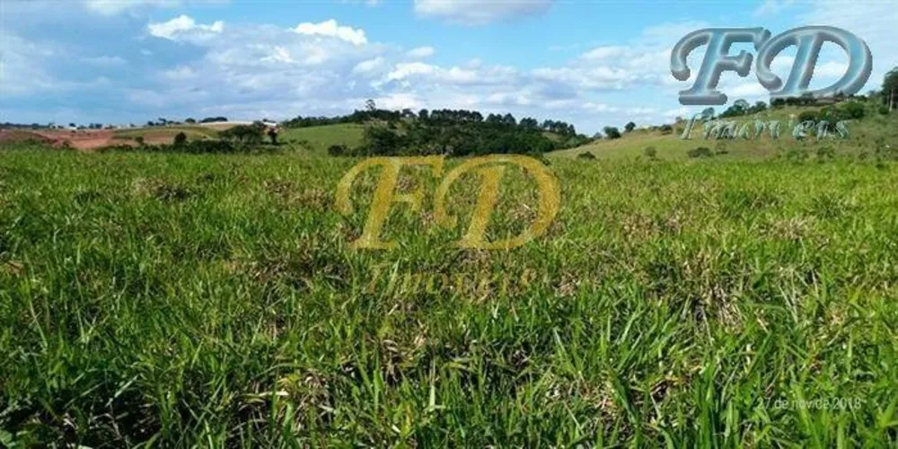 Terreno, 34 hectares - Foto 4