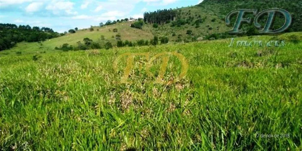 Terreno, 34 hectares - Foto 3