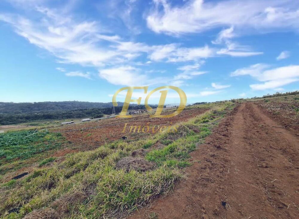 Prédio Inteiro - Foto 3