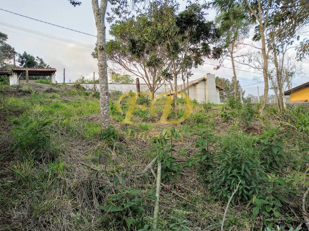 Terreno, 1000 m² - Foto 3