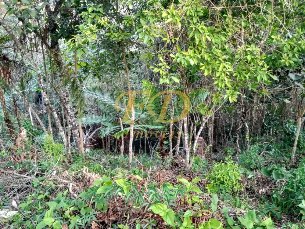 Terreno, 1000 m² - Foto 4