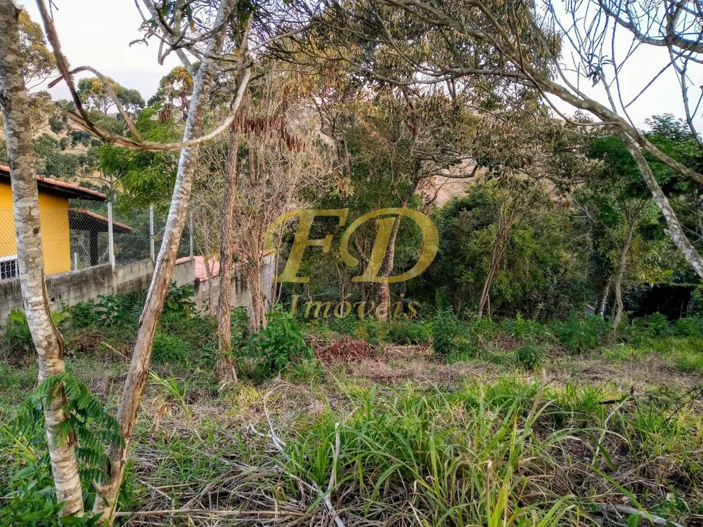 Terreno, 1000 m² - Foto 2