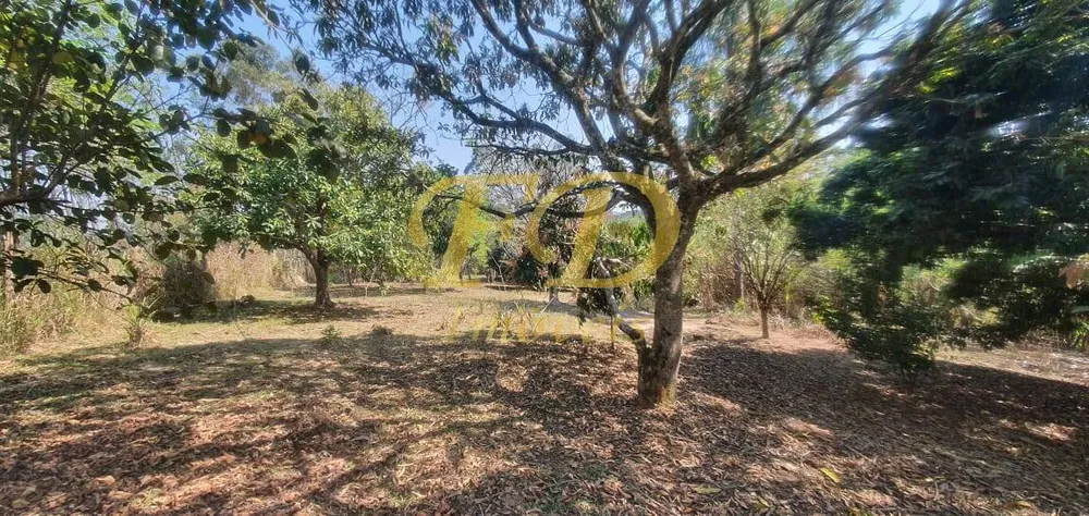 Chácara, 4 quartos, 1000 m² - Foto 3