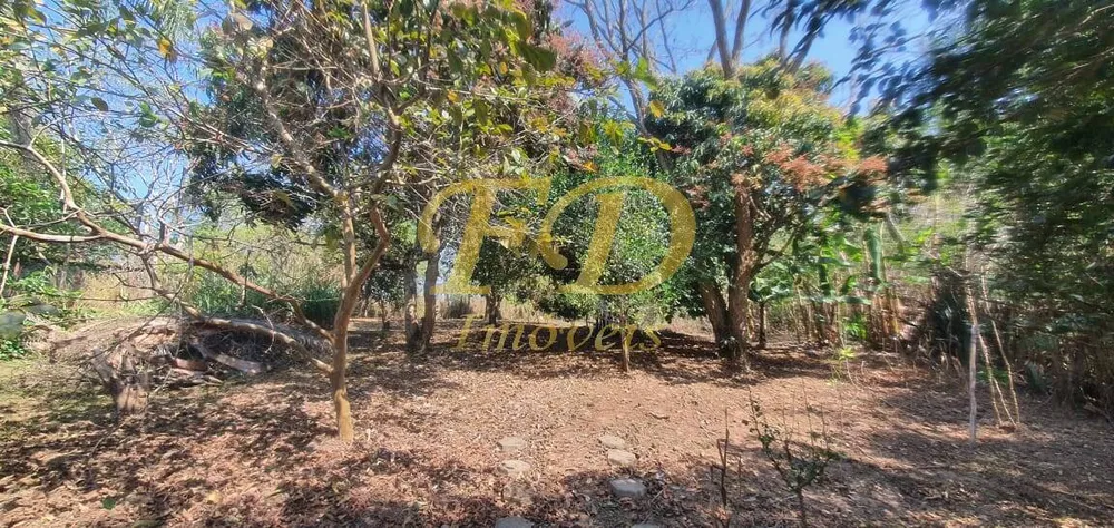 Chácara, 4 quartos, 1000 m² - Foto 2