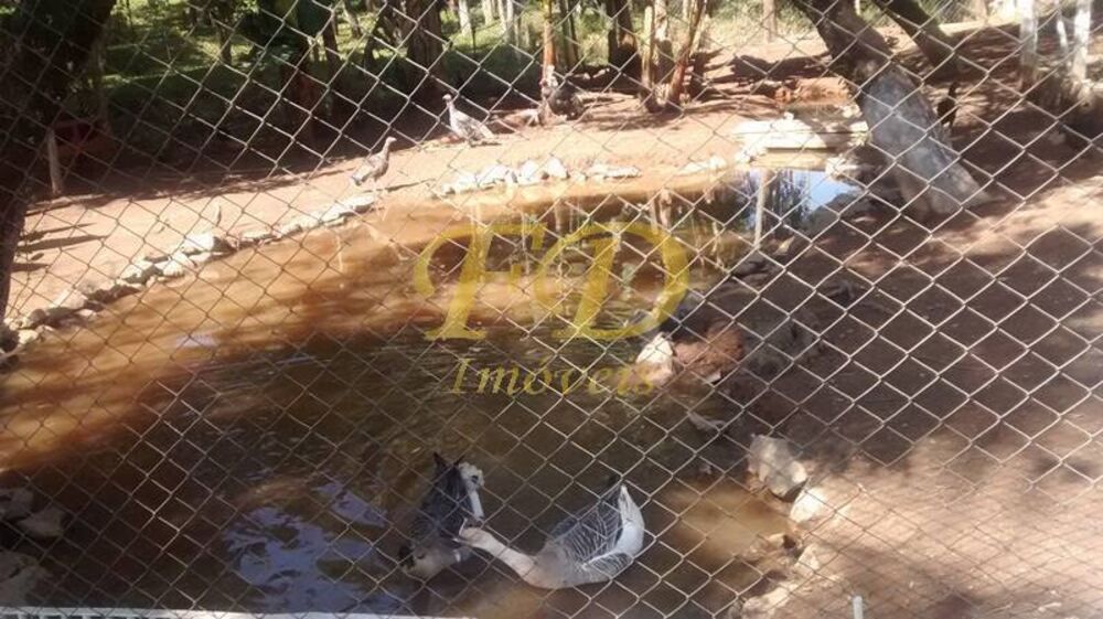 Chácara à venda com 3 quartos, 200m² - Foto 3