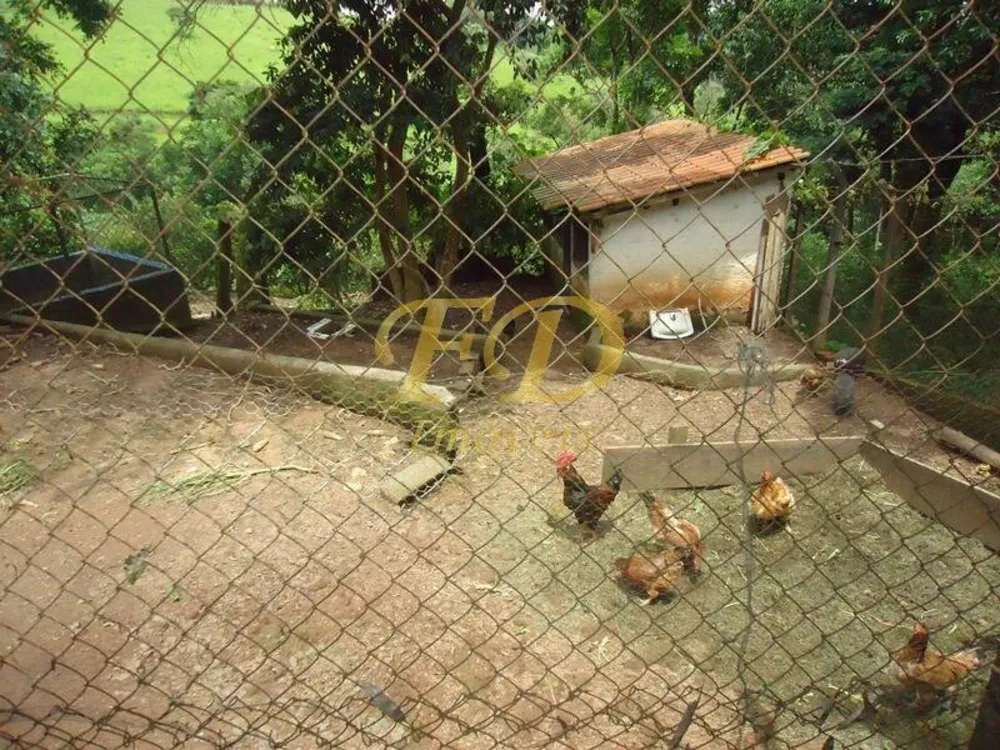 Chácara, 6 quartos, 9000 m² - Foto 5