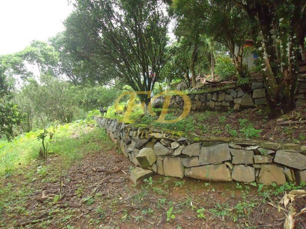 Chácara, 6 quartos, 9000 m² - Foto 2