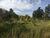 Terreno, 3756 m² - Foto 3