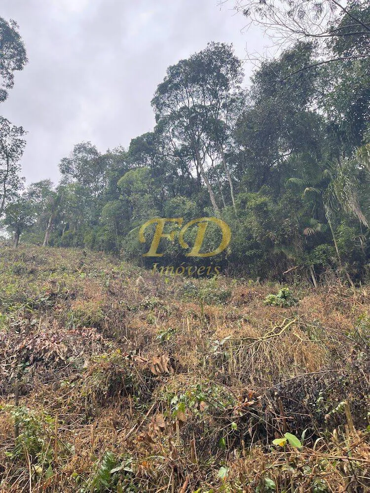 Terreno, 2500 m² - Foto 1