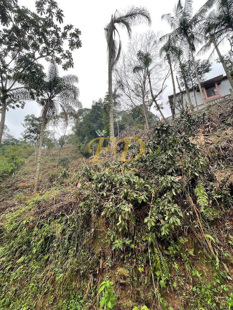 Terreno, 2500 m² - Foto 4