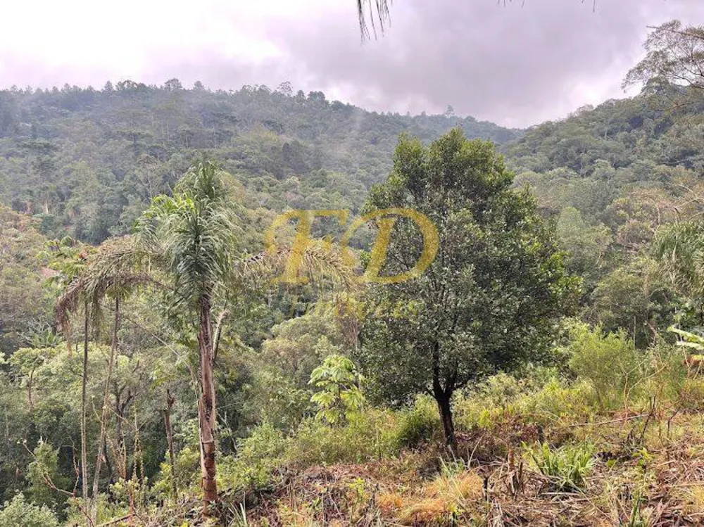 Terreno, 2500 m² - Foto 2