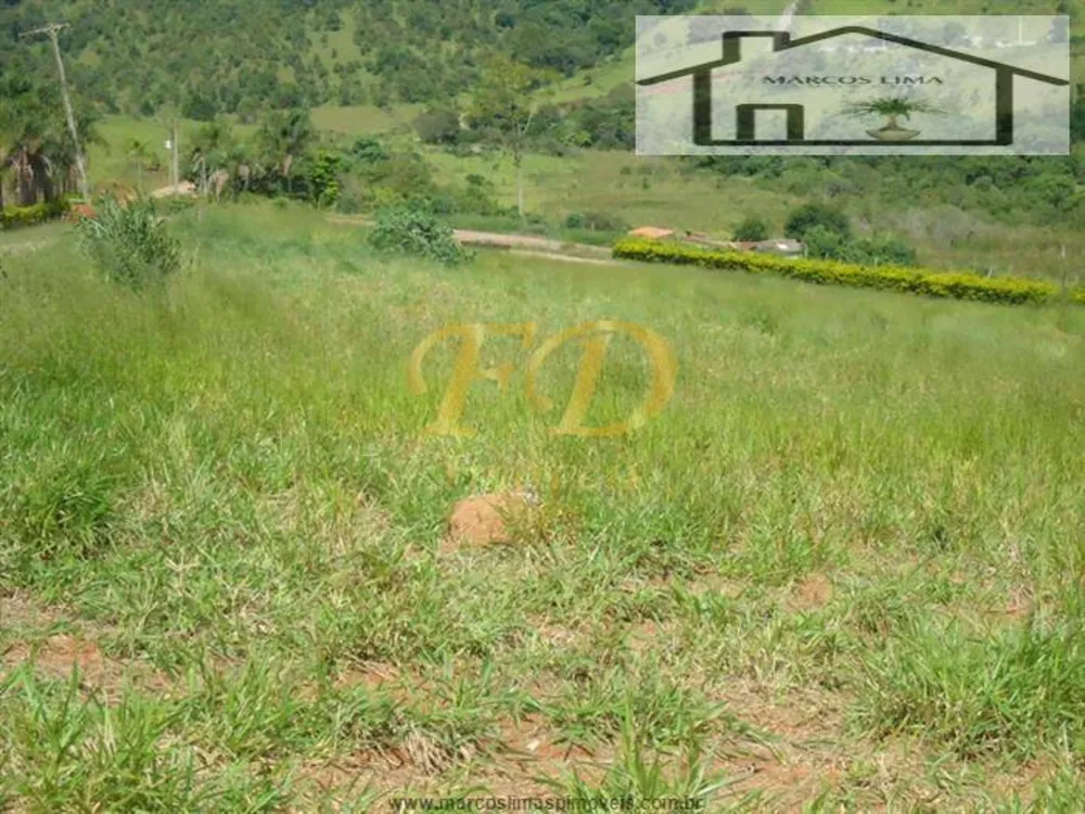 Terreno, 3000 m² - Foto 4