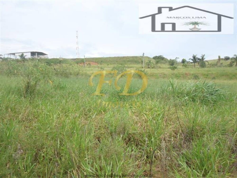 Terreno à venda, 3000m² - Foto 4