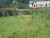 Terreno, 3000 m² - Foto 3