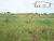 Terreno, 3000 m² - Foto 4