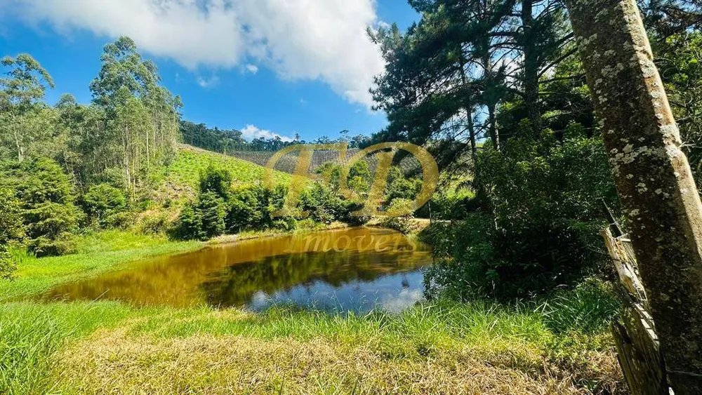 Sítio, 5 quartos, 12 hectares - Foto 6