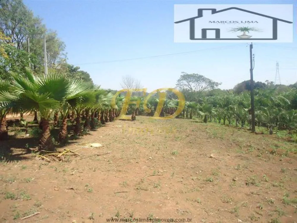 Terreno, 5 hectares - Foto 2