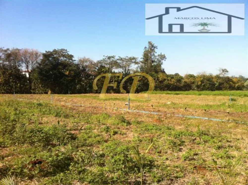 Terreno, 5 hectares - Foto 3