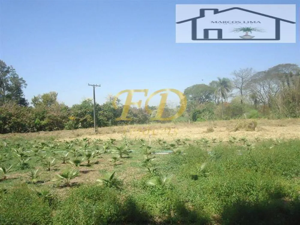 Terreno, 5 hectares - Foto 5