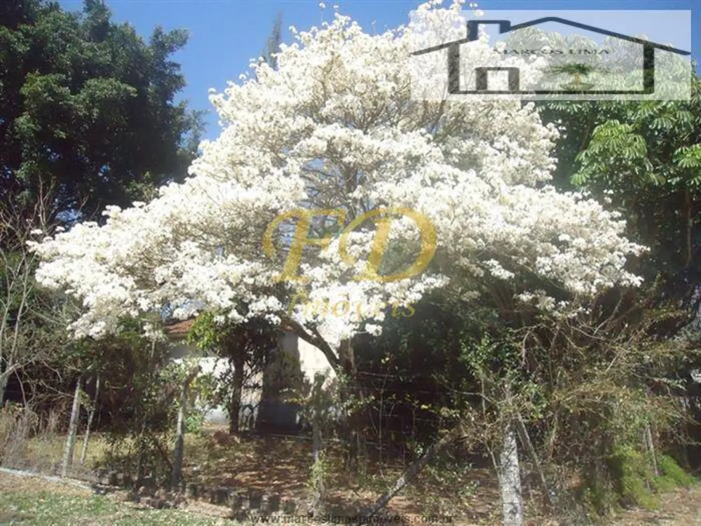 Terreno, 5 hectares - Foto 11