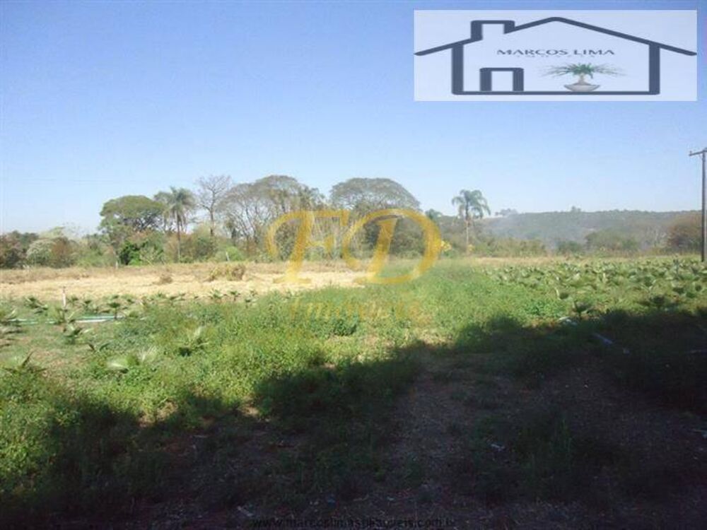 Terreno, 5 hectares - Foto 8