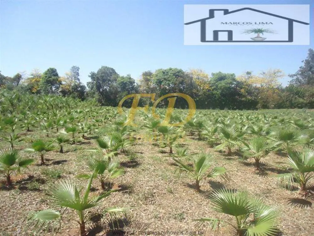 Terreno, 5 hectares - Foto 12