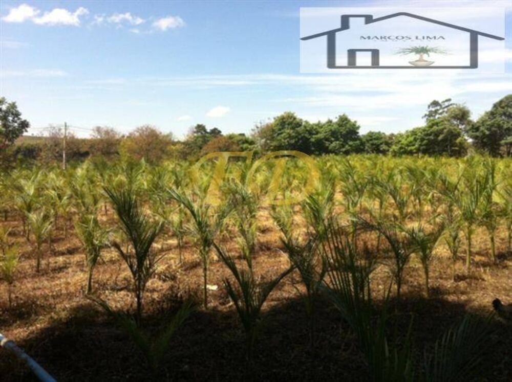 Terreno, 5 hectares - Foto 6