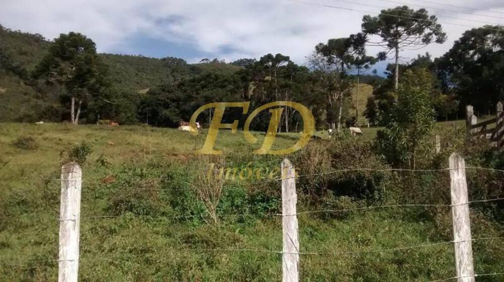Fazenda, 55 m² - Foto 7
