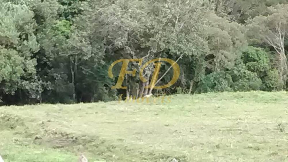 Fazenda, 55 m² - Foto 6