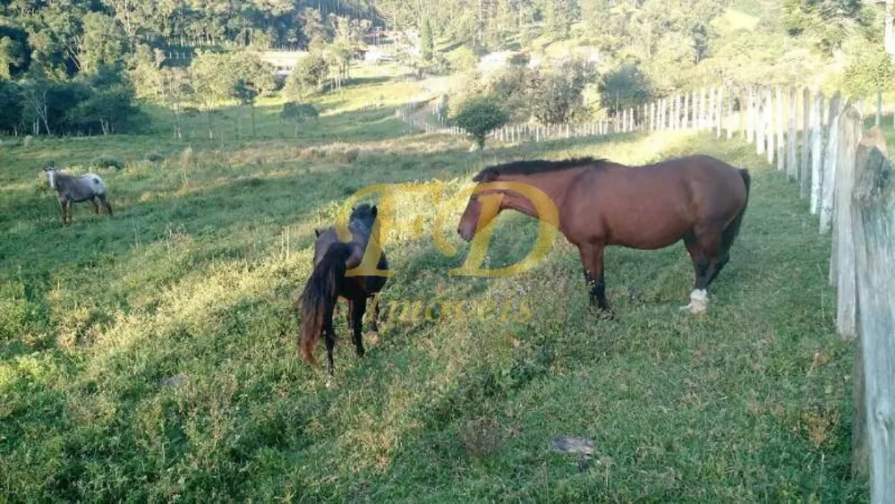 Fazenda, 55 m² - Foto 9