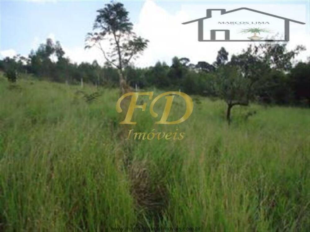Terreno, 1 hectares - Foto 7