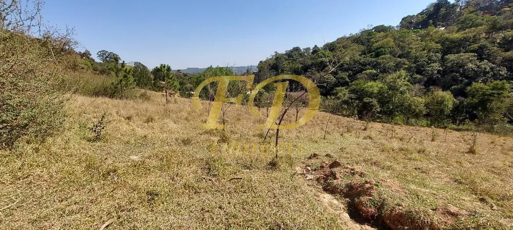 Terreno, 1078 m² - Foto 6